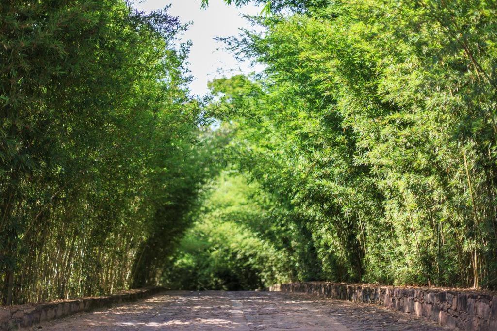 Pousada Bosque Do Lapao Lencois Bagian luar foto